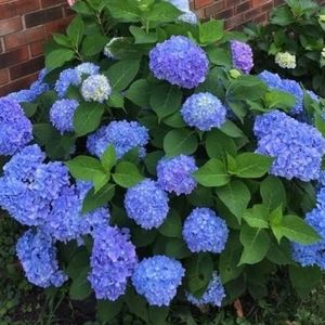 Meet your Posher, Kay